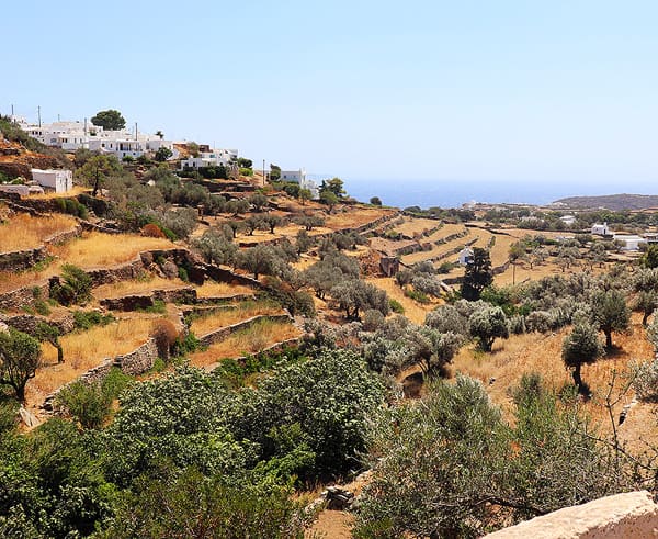 The beautifully tiered countryside of Sifnos, Greece with the ocean in the distance. The weather was very hot and dry.
