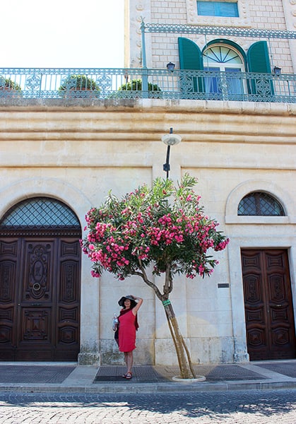 Gavin's mother, dressed in pink, matches the pink flowers on the trees of the main street in Ostuni.