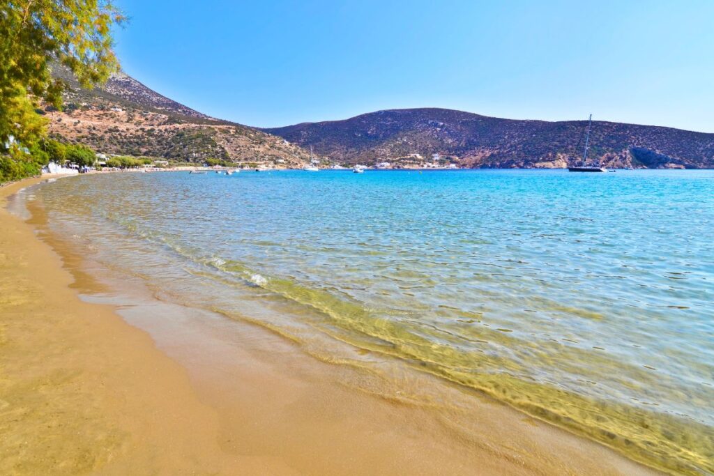 The bright, aquamarine water and soft, golden sand of Vathi Beach, one of the best beaches in Sifnos to visit. The water is calm, there are a couple green trees on the shore and mountains in the distance.