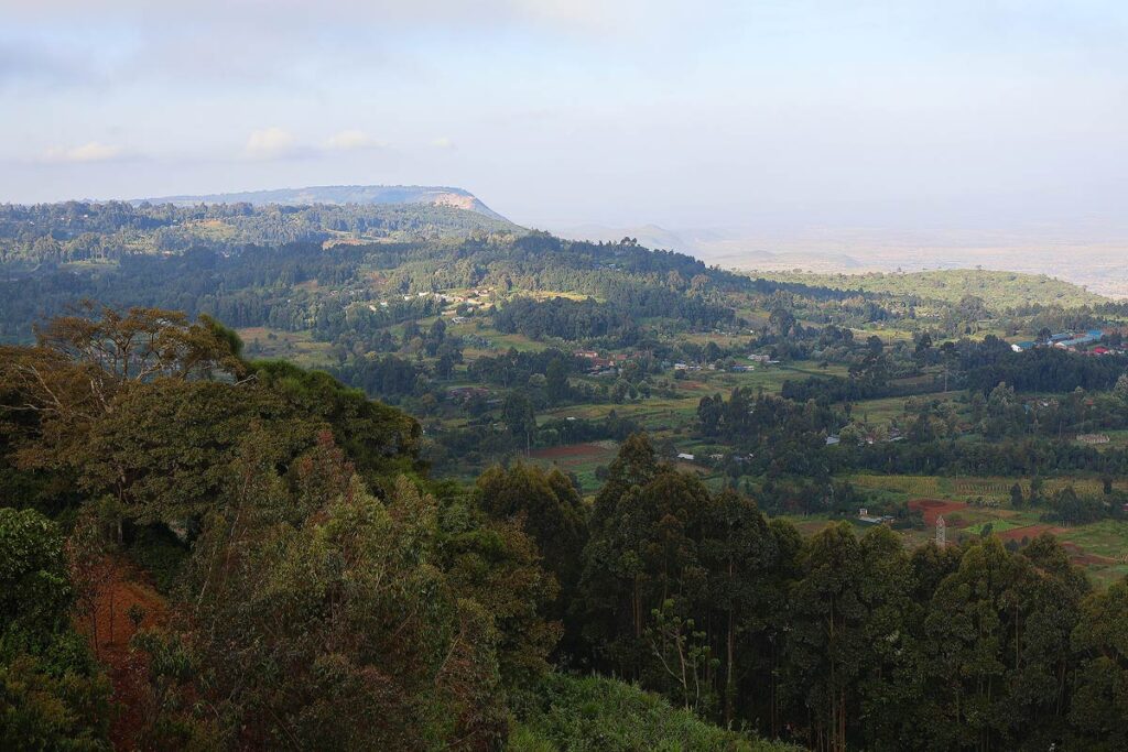 The beautiful countryside of Kenya that you will experience on this wheelchair accessible safari. There are green rolling hills covered with trees under a hazy sky.