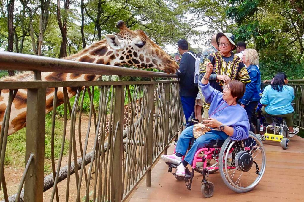 A wheelchair user in a light purple sweatshirt feeding a giraffe from an accessible platform at the Giraffe Center in Nairobi, one of our stops on our accessible Kenya safari. There are other travelers and wheelchair users behind her and green trees in the background.